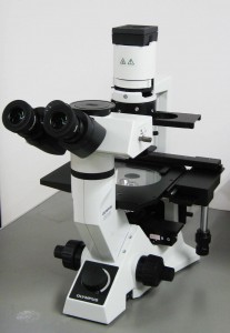 CKX41